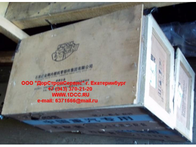 Поршневая группа WD615.87 290л.с. (6 гильз, 6 поршней (0010), 6 пальцев, комплект колец) H2 HOWO (ХОВО) VG2600030010 фото 1 Томск