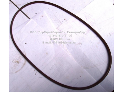 Кольцо уплотнительное задней ступицы F FAW (ФАВ) 2406033 для самосвала фото 1 Томск