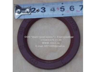 Сальник 48х65х6,2 H HOWO (ХОВО)  фото 1 Томск