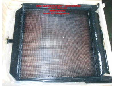 Радиатор охлаждения двигателя CDM 855EK Lonking CDM (СДМ) CDM855EK.01I.04 фото 1 Томск