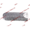 Вкладыши коренные стандарт +0.00 (14шт) LONGGONG CDM833 Lonking CDM (СДМ) 13034908/13034916 фото 2 Томск